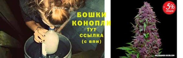 кокс Елизово