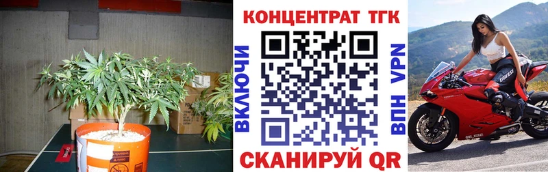 закладка  Няндома  shop формула  Дистиллят ТГК Wax 