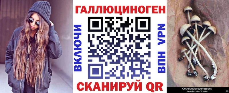 что такое   Няндома  Псилоцибиновые грибы GOLDEN TEACHER 