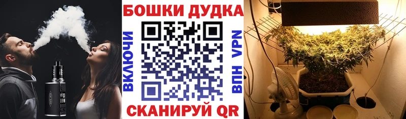 KRAKEN ССЫЛКА  Няндома  Марихуана план 
